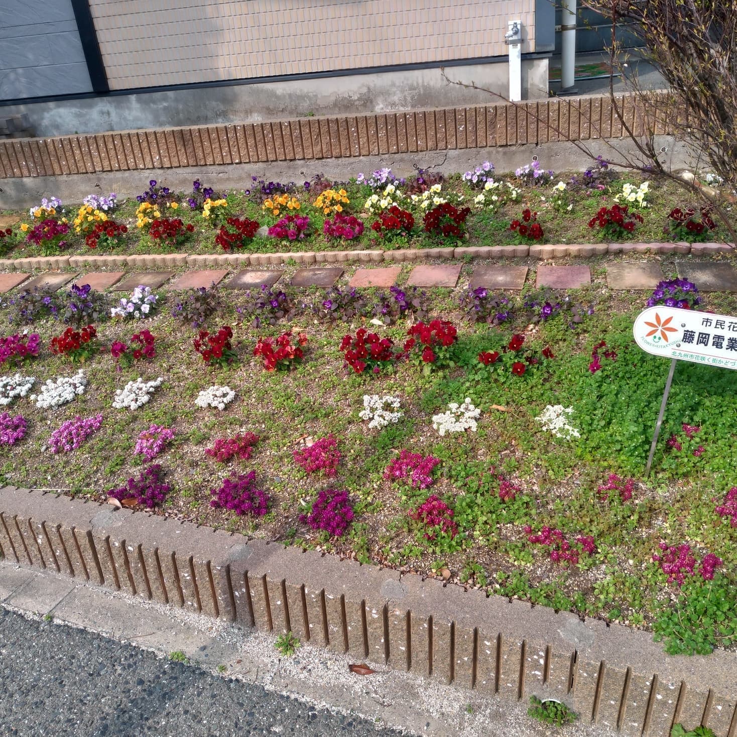 花壇1