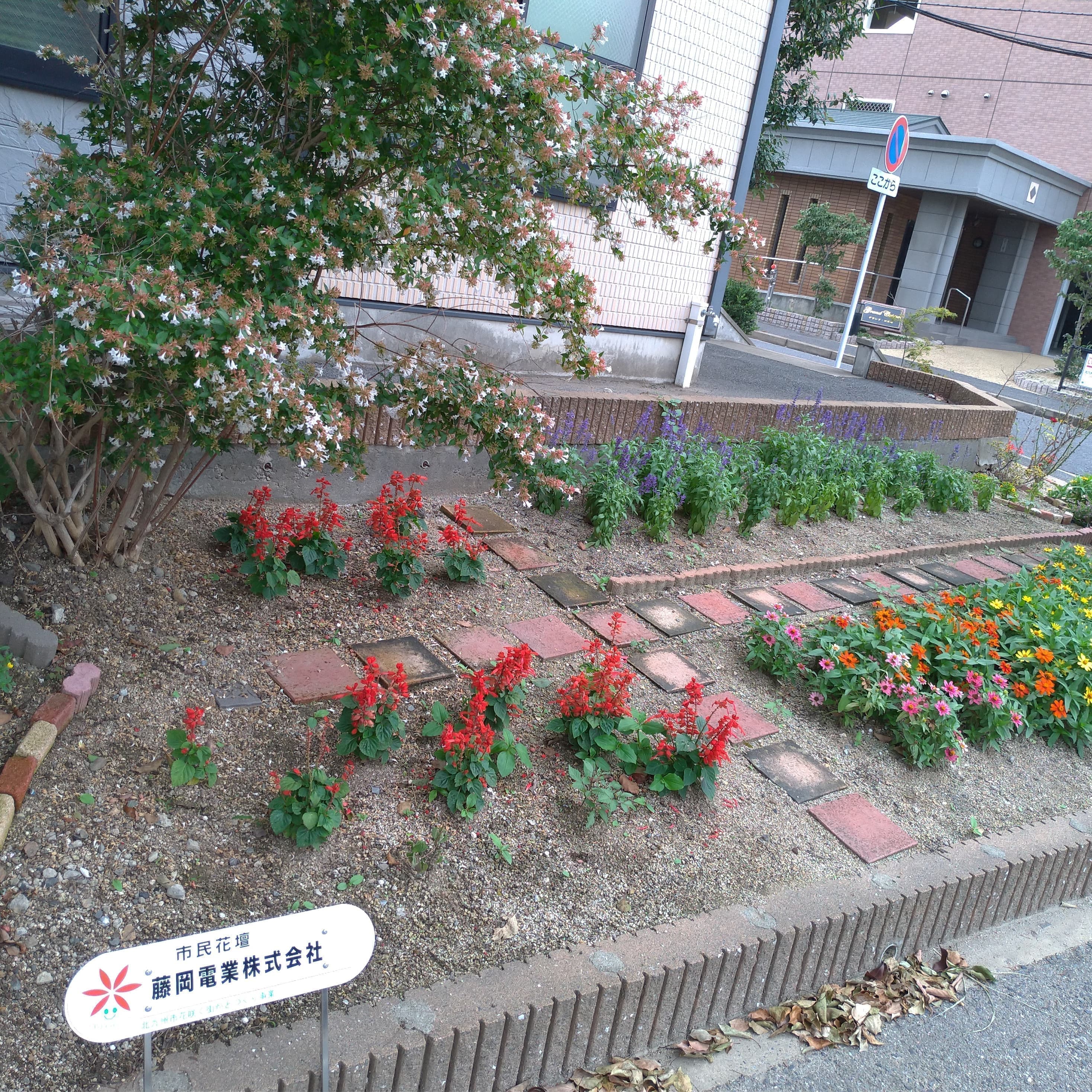 花壇5